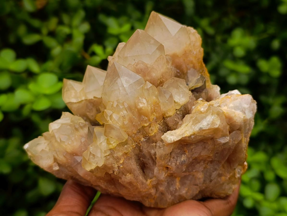 Natural White Phantom Cascading Smokey Luena Quartz Clusters x 2 From Luena, Congo