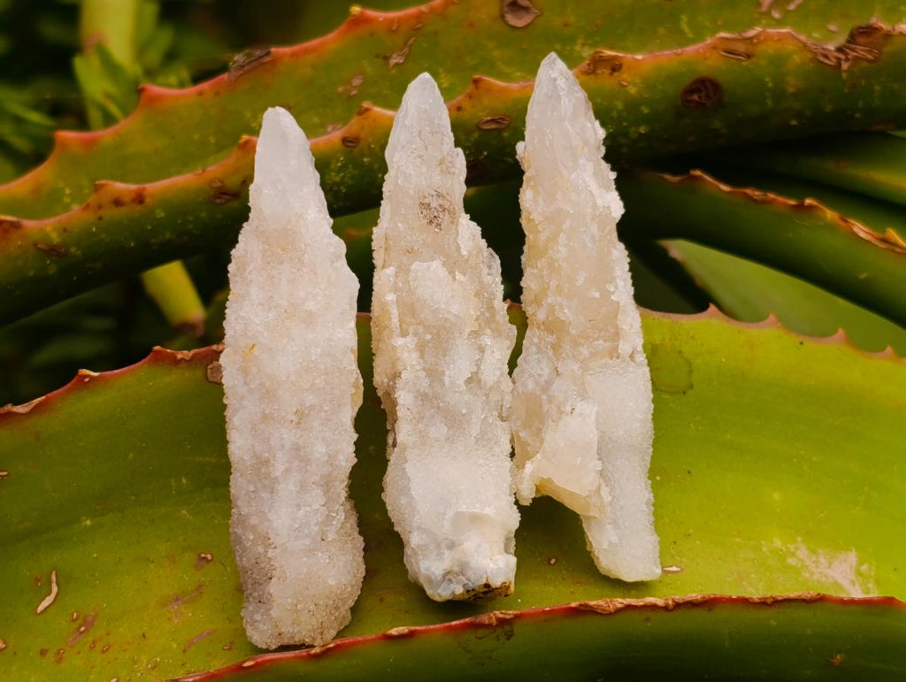 Natural Drusy Quartz Coated Spearhead Calcite Crystals x 38 From Albert's Mountain, Lesotho