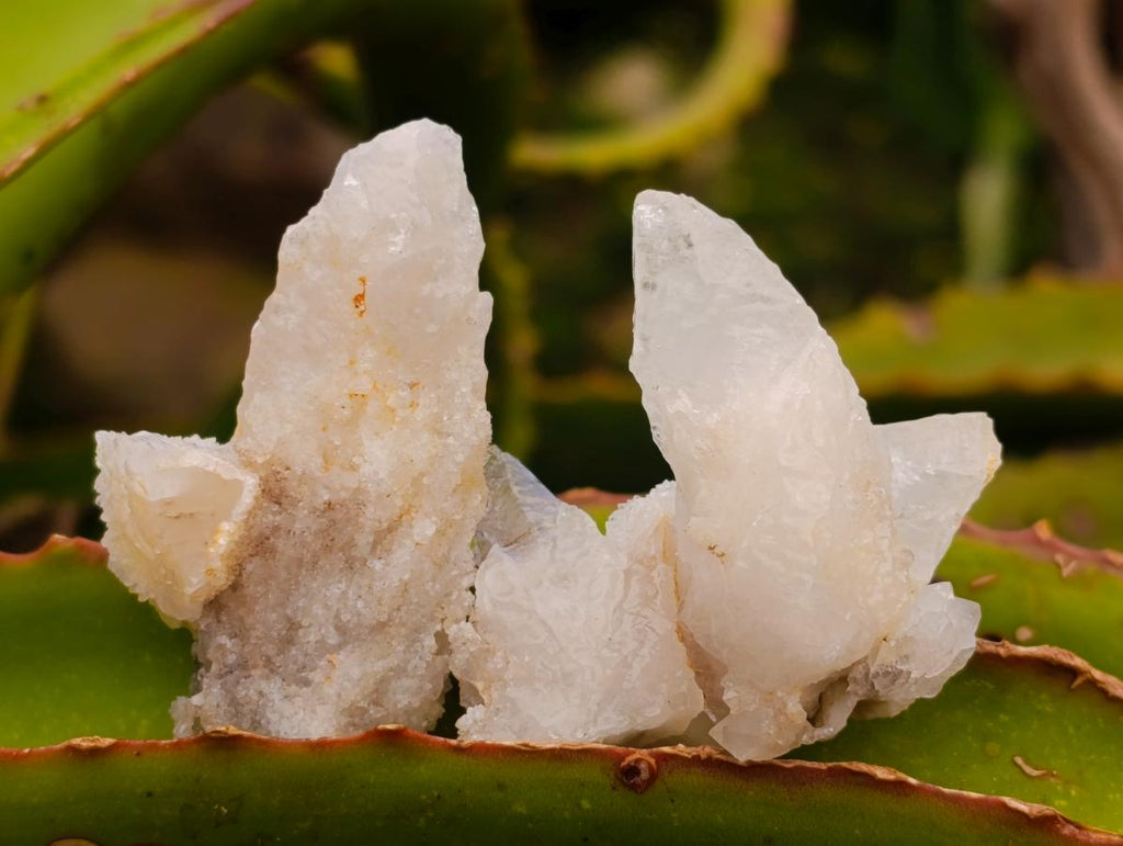 Natural Drusy Quartz Coated Spearhead Calcite Crystals x 38 From Albert's Mountain, Lesotho
