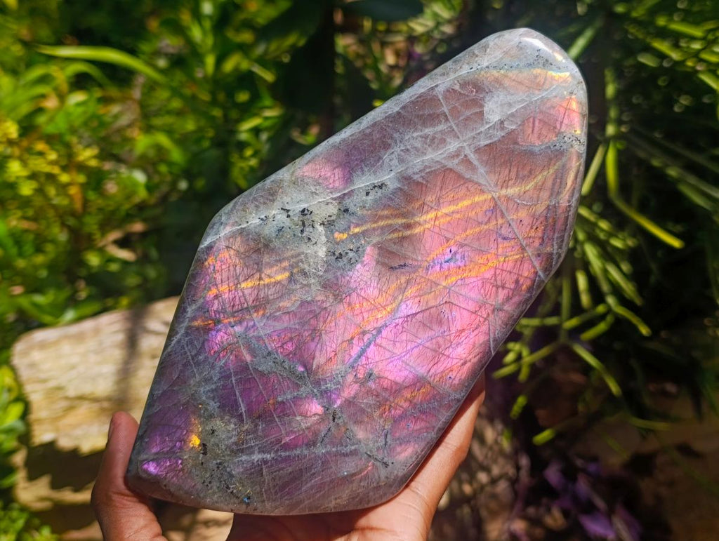 Polished Rare Purple Sunset Flash Labradorite Standing Free Form x 1 From Madagascar - Toprock Gemstones and Minerals 