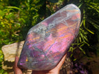 Polished Rare Purple Sunset Flash Labradorite Standing Free Form x 1 From Madagascar - Toprock Gemstones and Minerals 