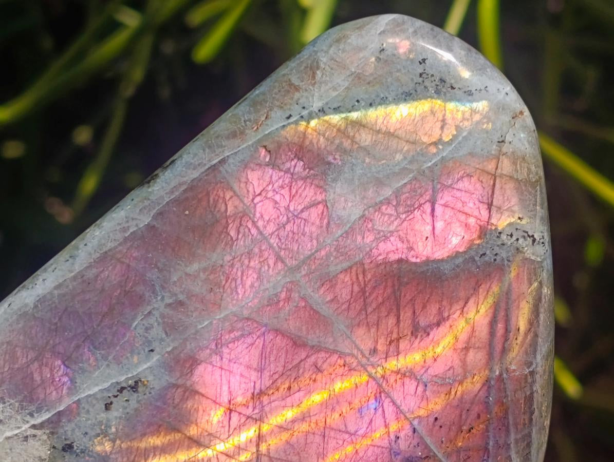 Polished Rare Purple Sunset Flash Labradorite Standing Free Form x 1 From Madagascar - Toprock Gemstones and Minerals 