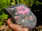 Polished Rare Purple Sunset Flash Labradorite Standing Free Form x 1 From Madagascar - Toprock Gemstones and Minerals 