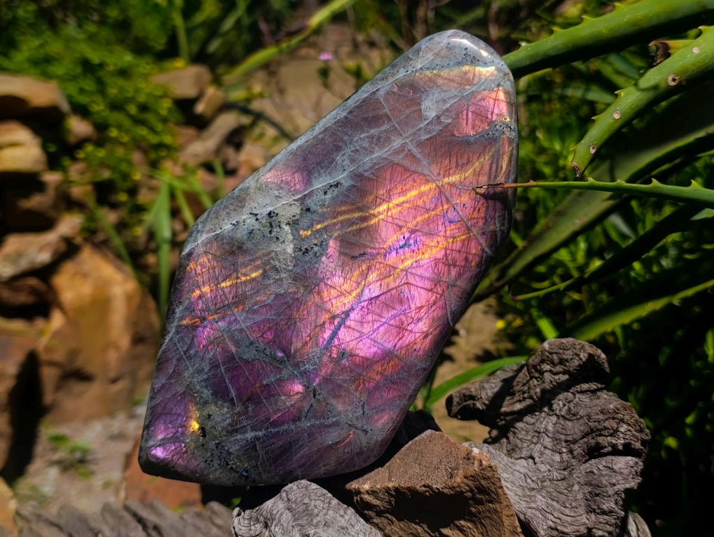 Polished Rare Purple Sunset Flash Labradorite Standing Free Form x 1 From Madagascar - Toprock Gemstones and Minerals 