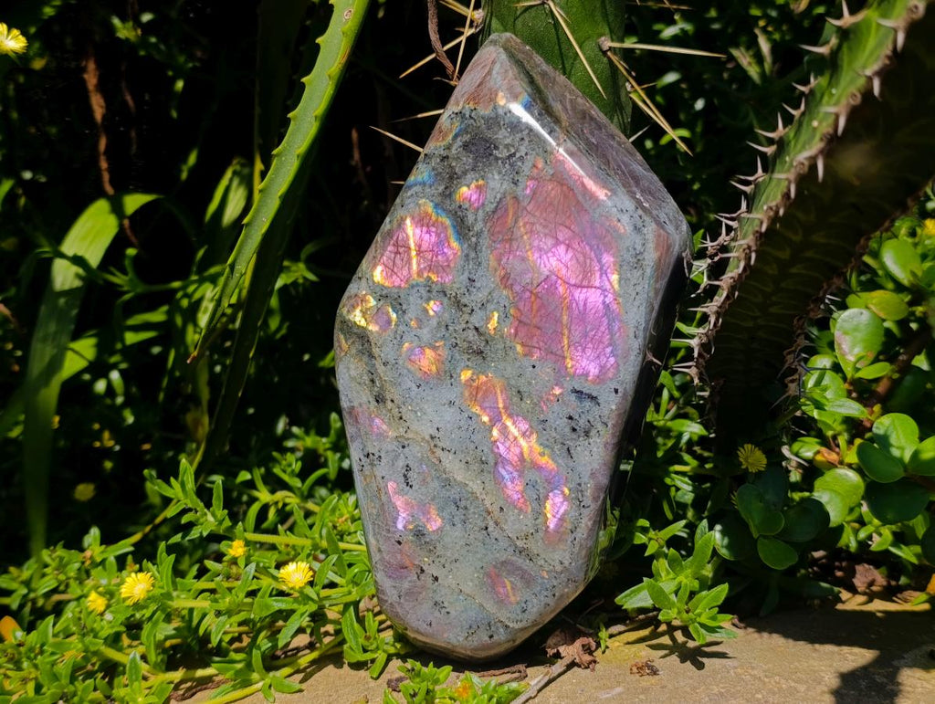Polished Rare Purple Sunset Flash Labradorite Standing Free Form x 1 From Madagascar - Toprock Gemstones and Minerals 