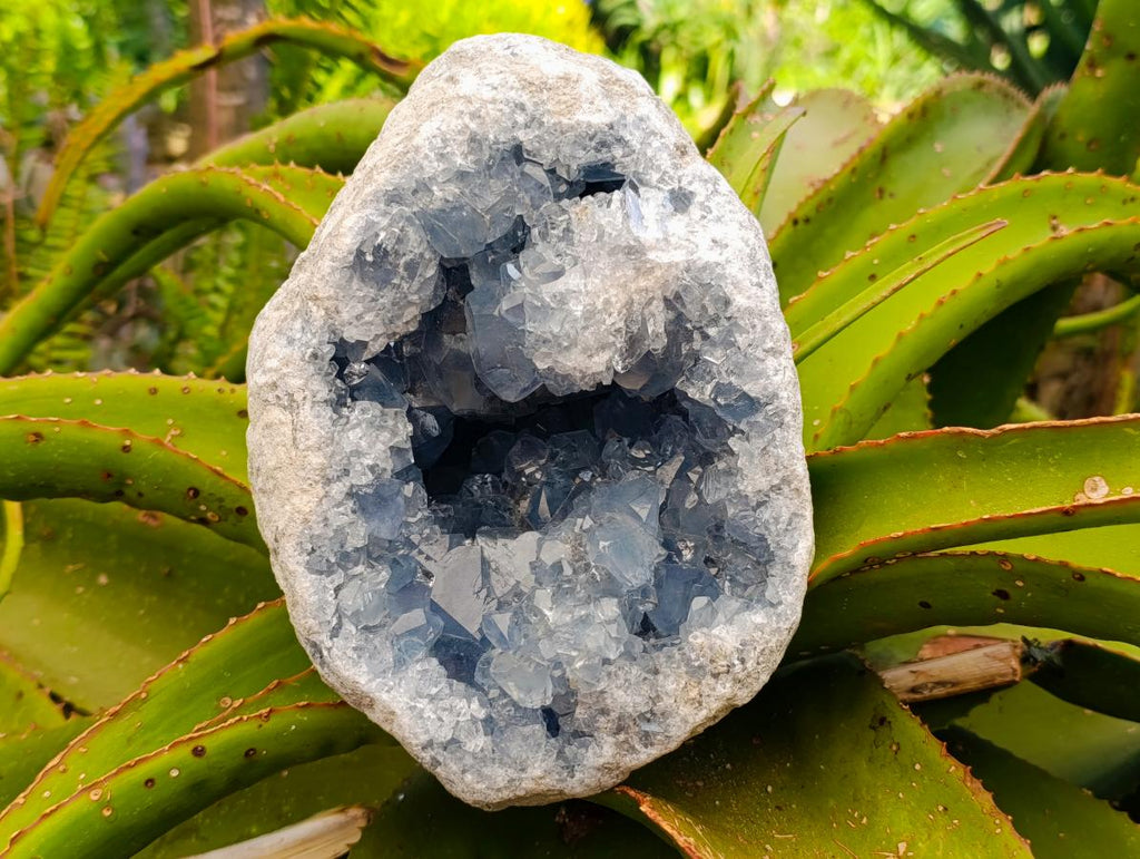 Natural XL Blue Celestite Geode Specimen x 1 From Sakoany, Madagascar
