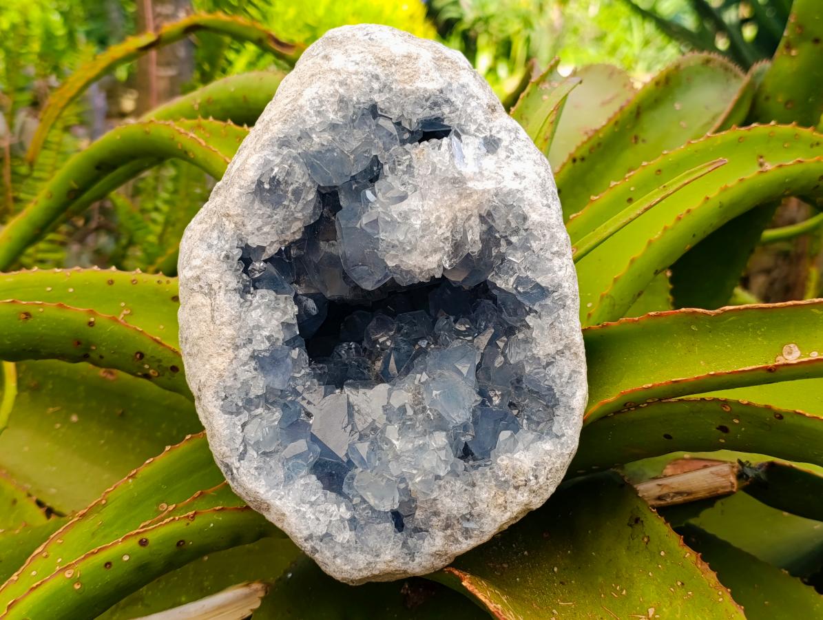 Natural XL Blue Celestite Geode Specimen x 1 From Sakoany, Madagascar