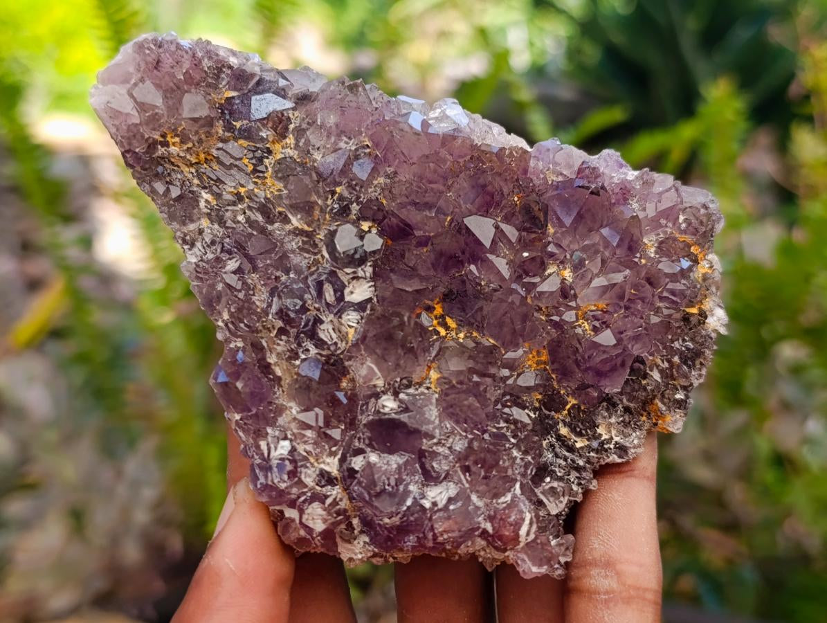 Natural Rare Amethyst Asylum Quartz Clusters x 5 From Luena, Congo