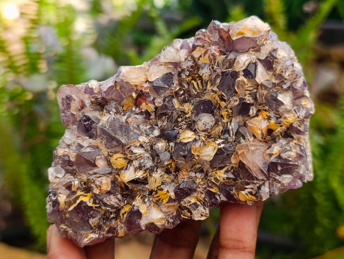 Natural Rare Amethyst Asylum Quartz Clusters x 5 From Luena, Congo