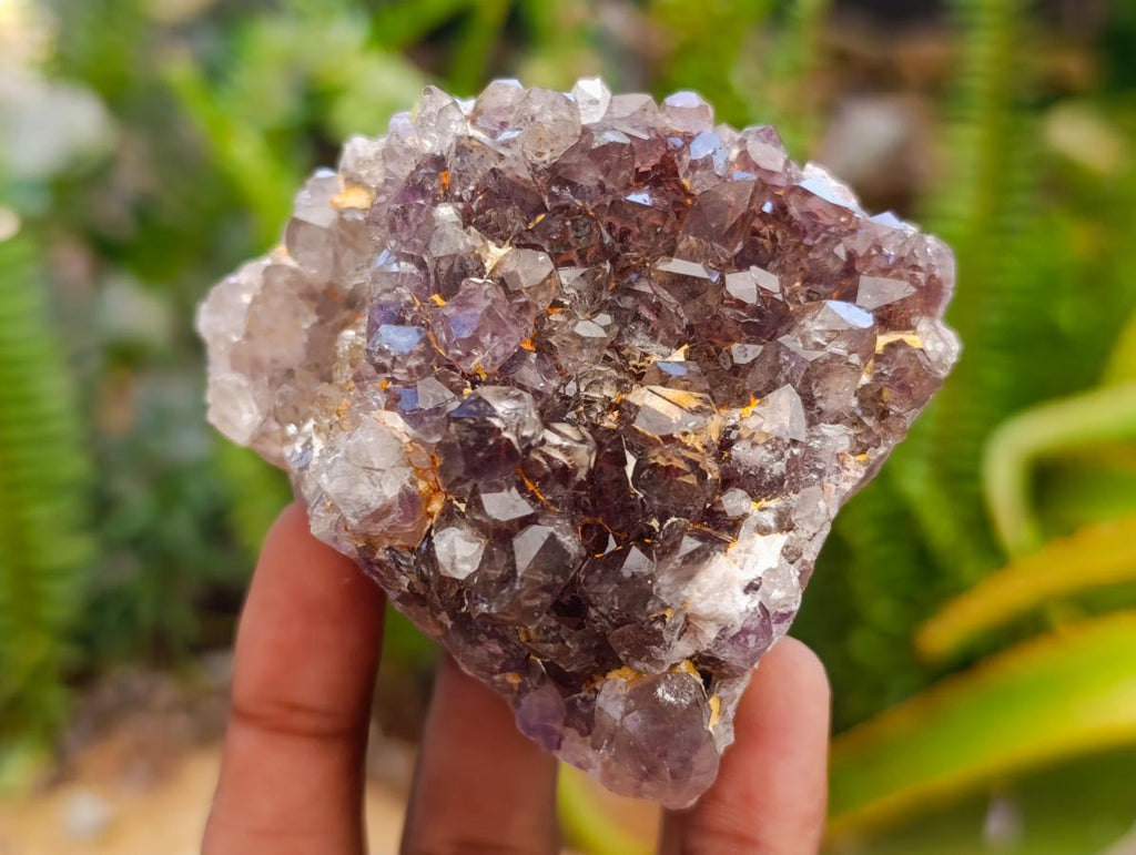Natural Rare Amethyst Asylum Quartz Clusters x 5 From Luena, Congo