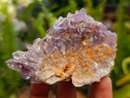 Natural Rare Amethyst Asylum Quartz Clusters x 5 From Luena, Congo