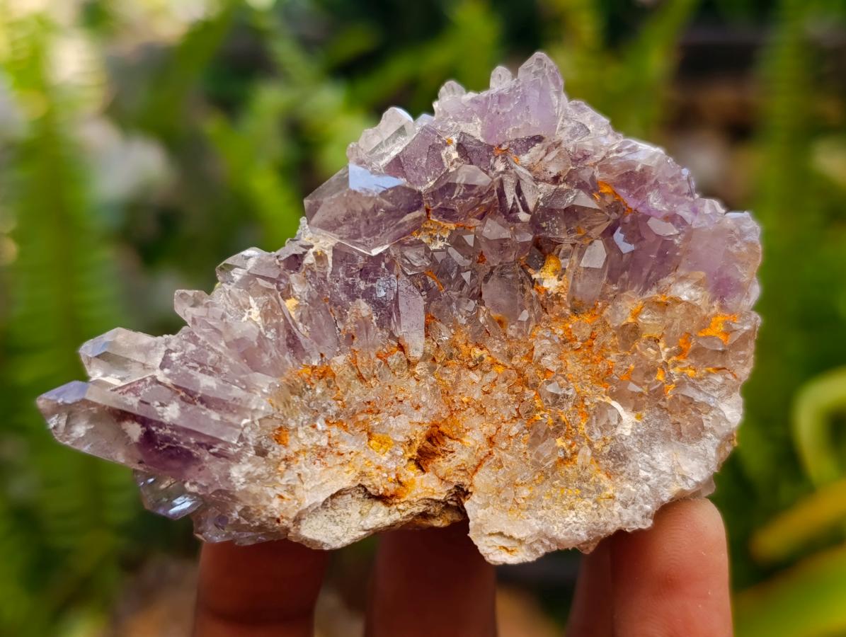Natural Rare Amethyst Asylum Quartz Clusters x 5 From Luena, Congo