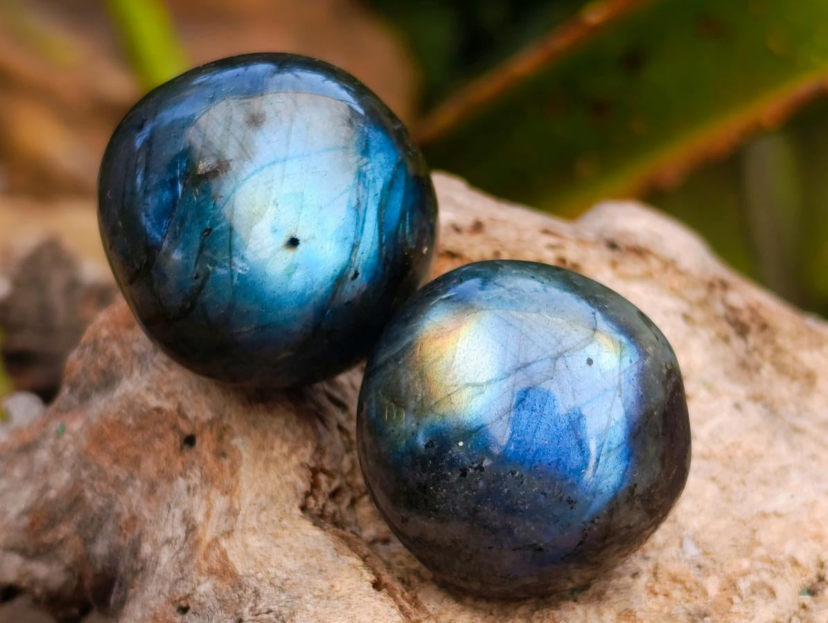 Polished Rounded Labradorite Free Forms x 35 From Madagascar