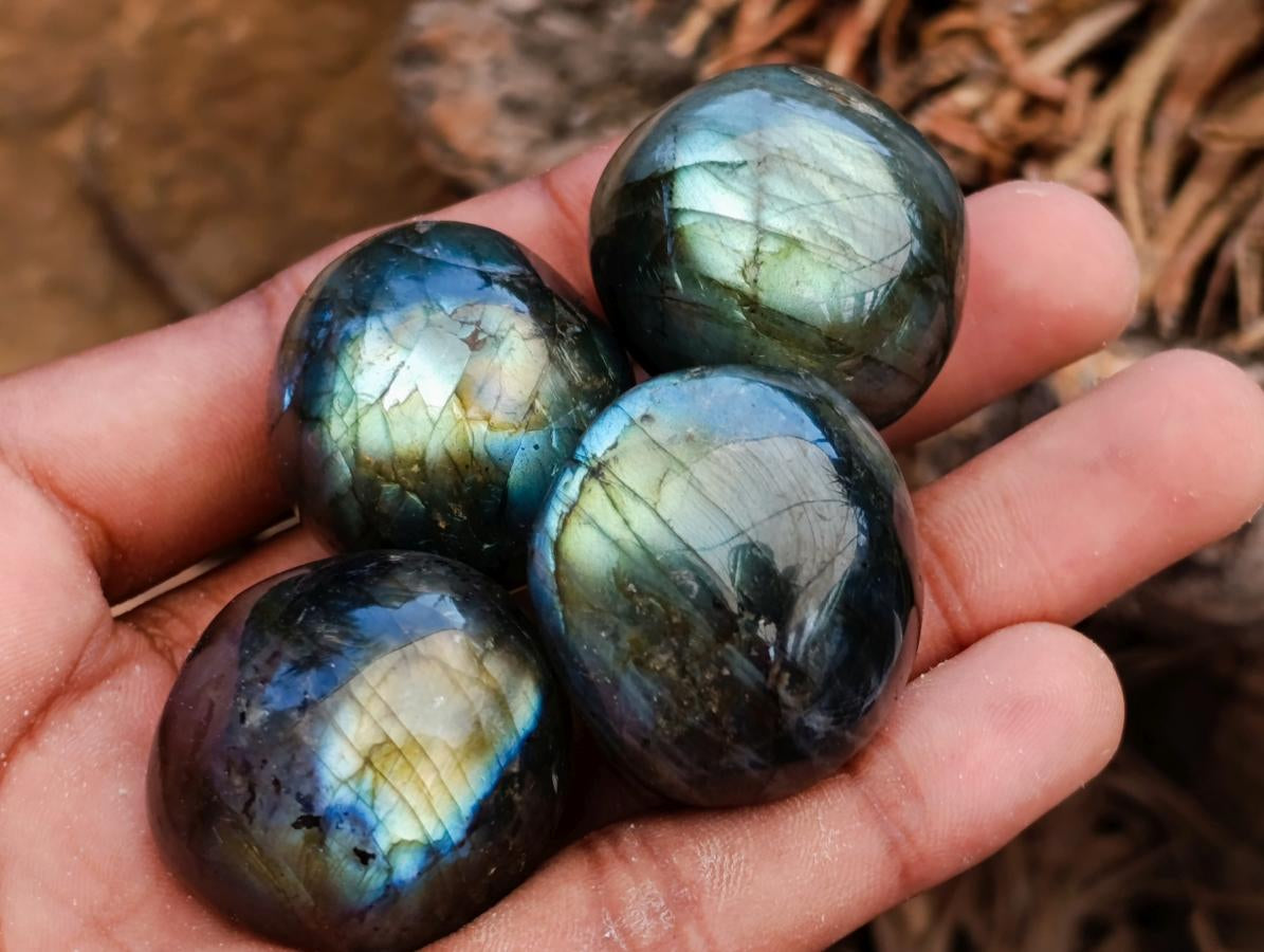 Polished Rounded Labradorite Free Forms x 35 From Madagascar