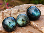 Polished Rounded Labradorite Free Forms x 35 From Madagascar