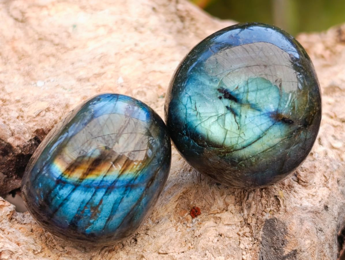 Polished Rounded Labradorite Free Forms x 35 From Madagascar