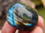 Polished Rounded Labradorite Free Forms x 35 From Madagascar