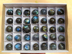 Polished Rounded Labradorite Free Forms x 35 From Madagascar