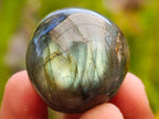 Polished Rounded Labradorite Free Forms x 35 From Madagascar
