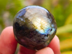 Polished Rounded Labradorite Free Forms x 35 From Madagascar
