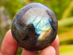 Polished Rounded Labradorite Free Forms x 35 From Madagascar