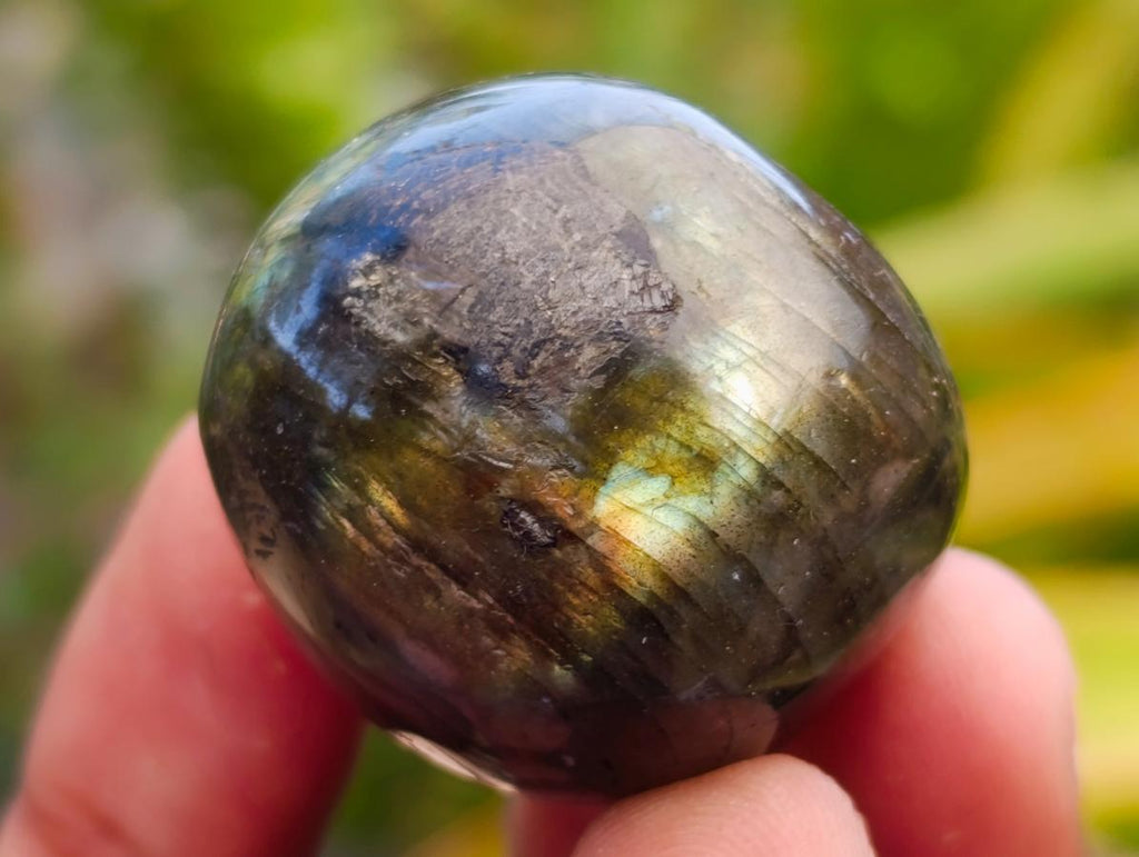 Polished Rounded Labradorite Free Forms x 35 From Madagascar