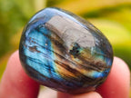 Polished Rounded Labradorite Free Forms x 35 From Madagascar