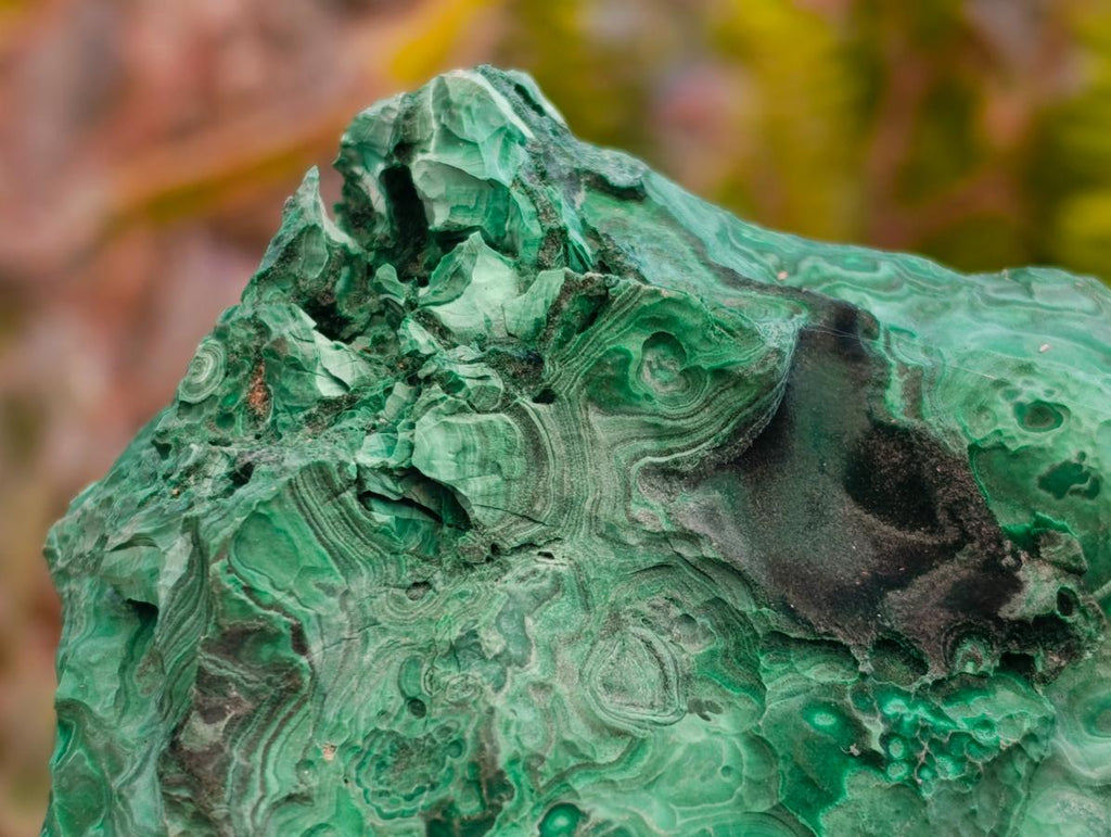 Natural Botryoidal Malachite Cutting Material x 2 From Congo