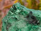 Natural Botryoidal Malachite Cutting Material x 2 From Congo