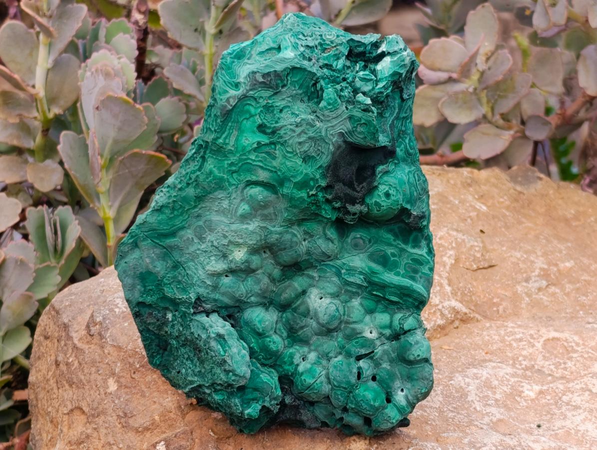 Natural Botryoidal Malachite Cutting Material x 2 From Congo