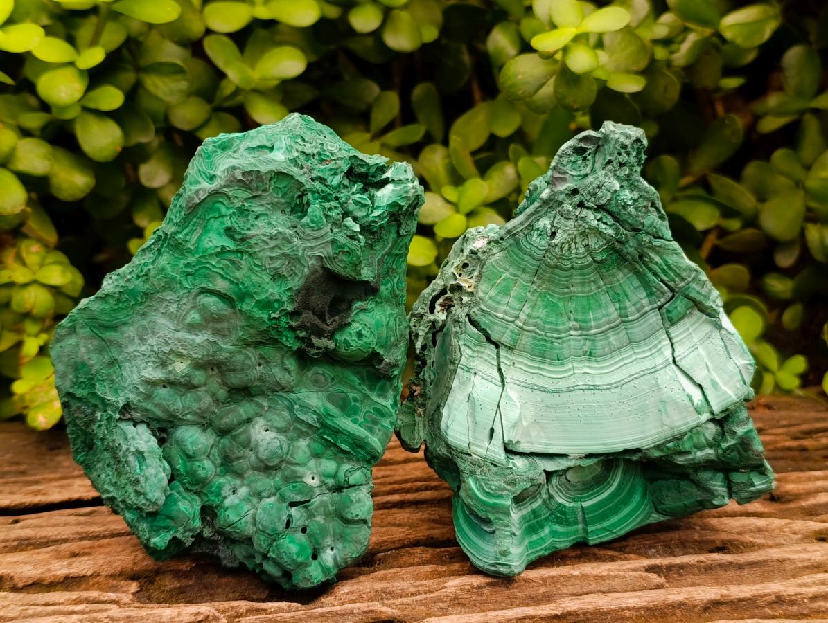 Natural Botryoidal Malachite Cutting Material x 2 From Congo