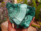 Natural Botryoidal Malachite Cutting Material x 2 From Congo
