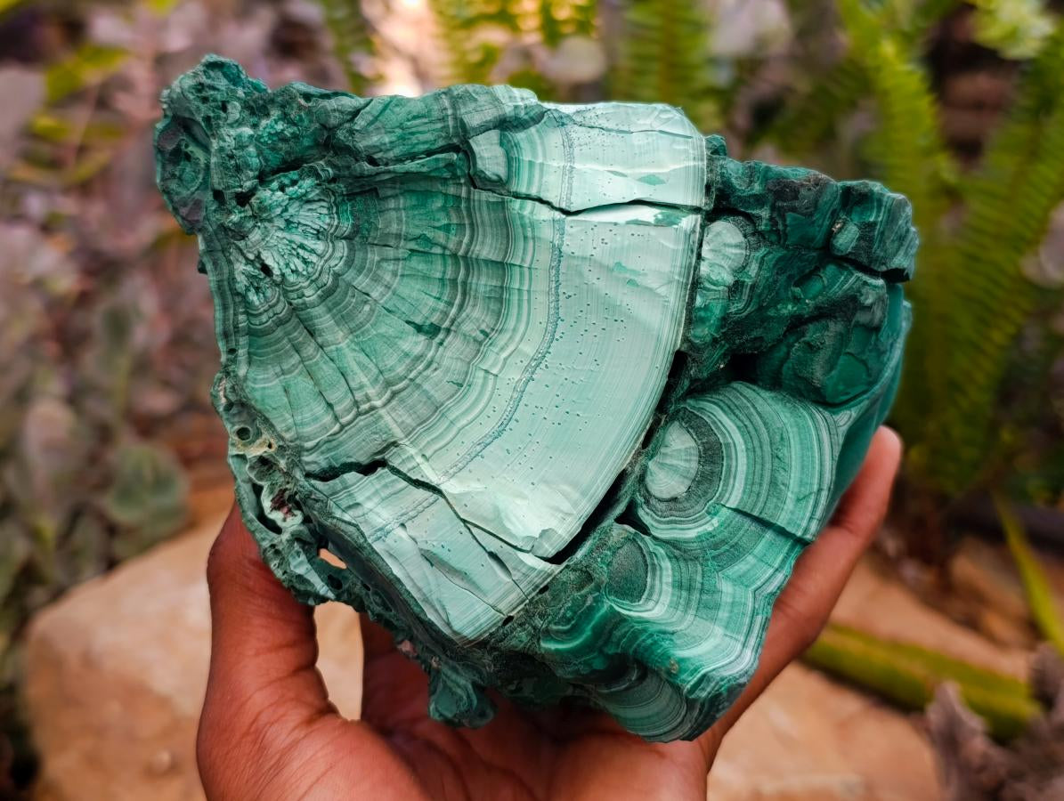 Natural Botryoidal Malachite Cutting Material x 2 From Congo