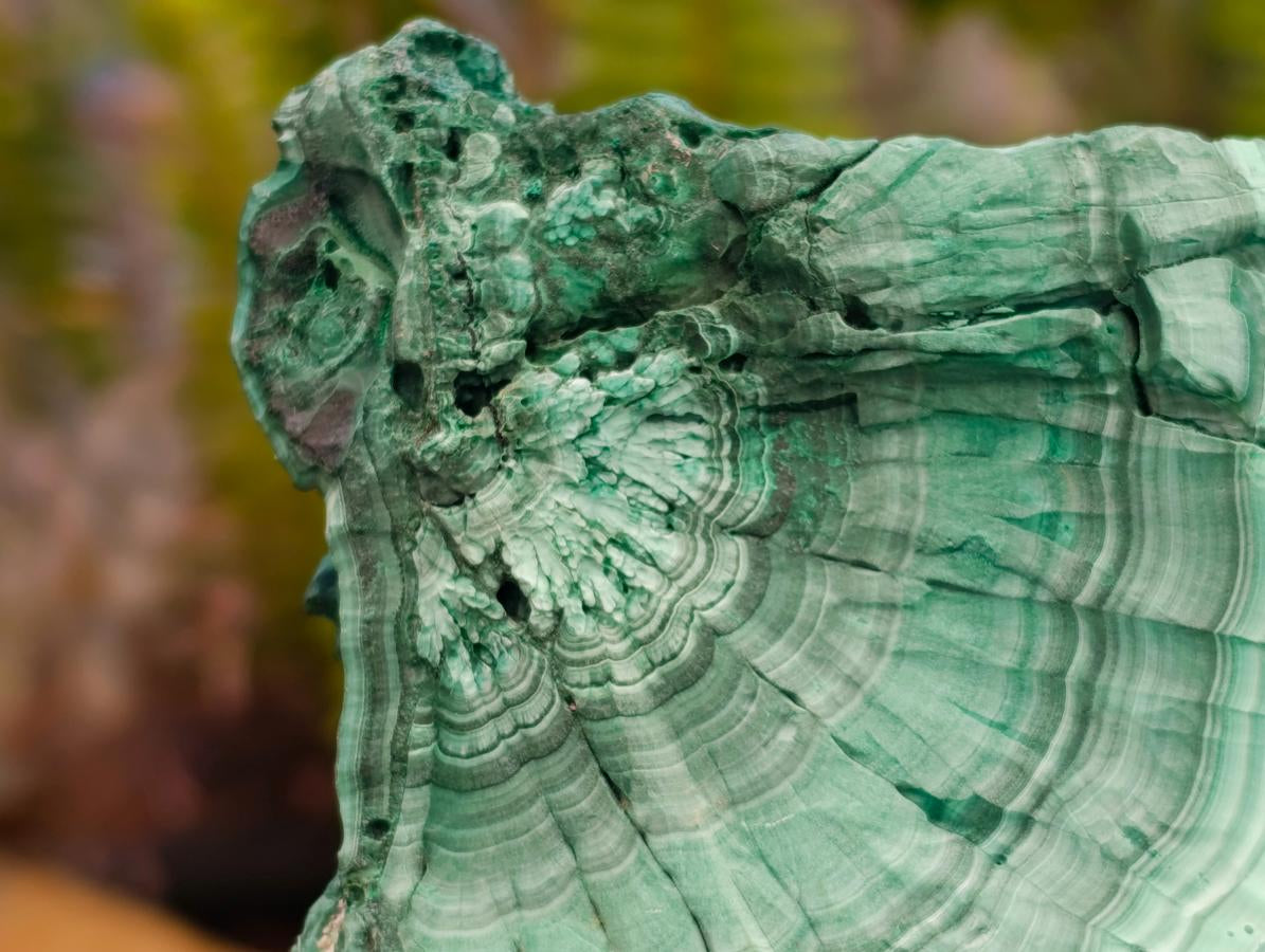 Natural Botryoidal Malachite Cutting Material x 2 From Congo