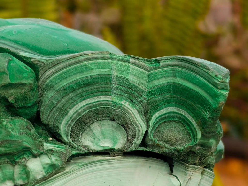 Natural Botryoidal Malachite Cutting Material x 2 From Congo
