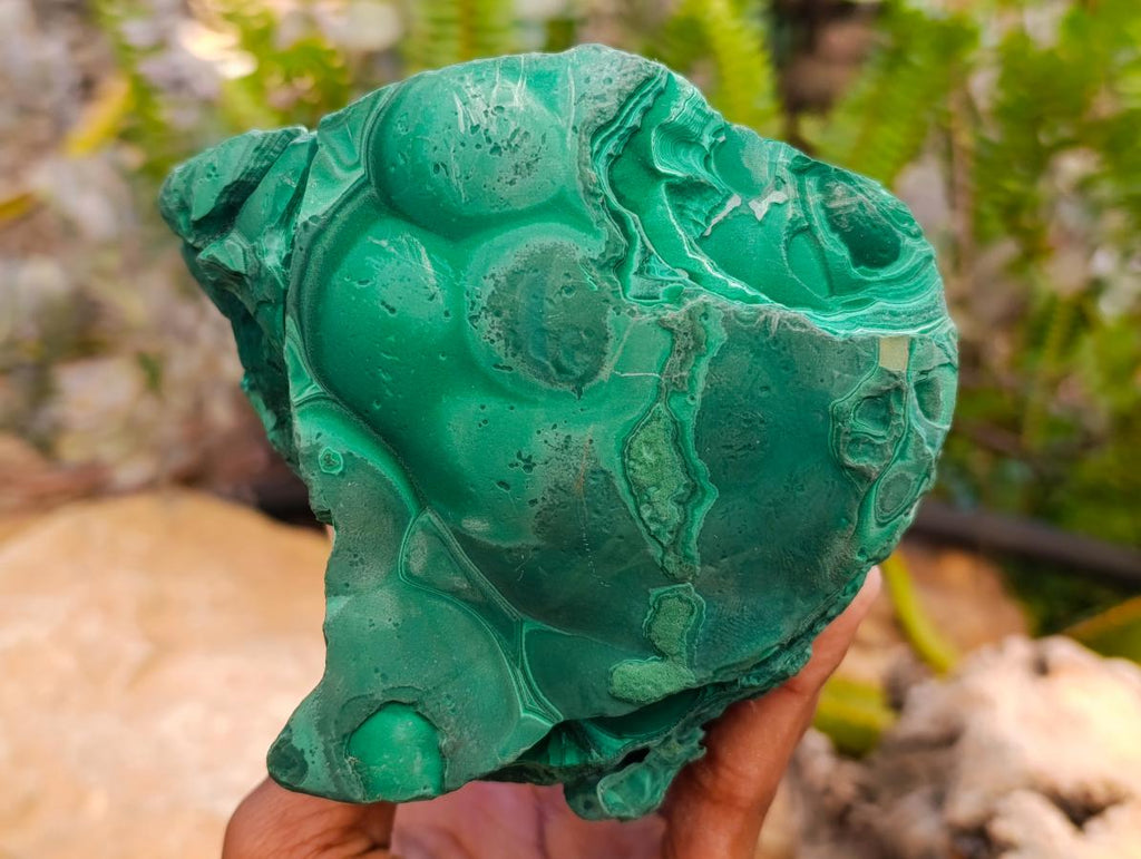 Natural Botryoidal Malachite Cutting Material x 2 From Congo