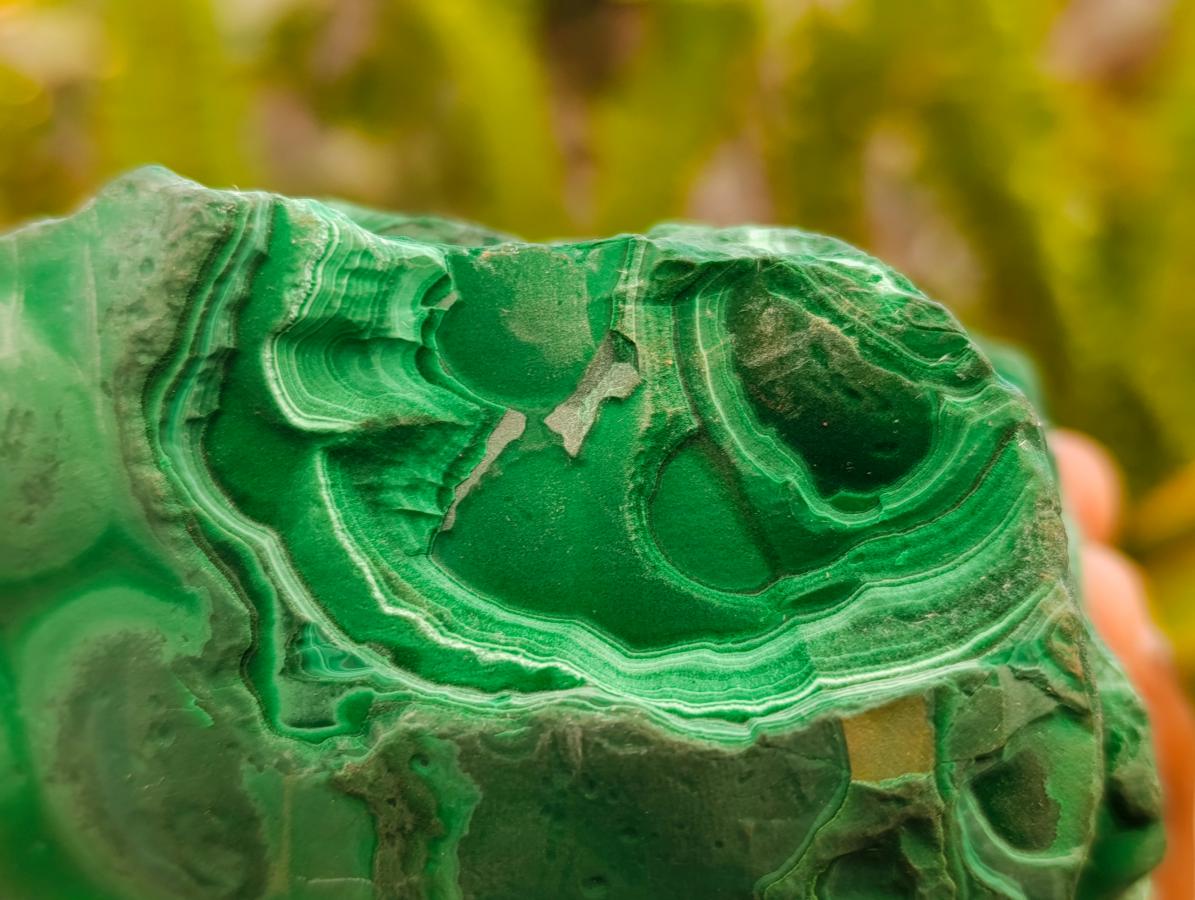 Natural Botryoidal Malachite Cutting Material x 2 From Congo