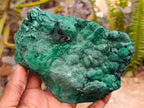 Natural Botryoidal Malachite Cutting Material x 2 From Congo