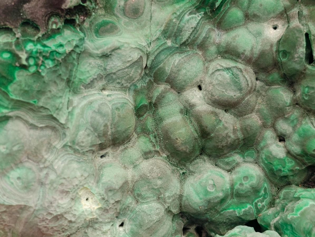 Natural Botryoidal Malachite Cutting Material x 2 From Congo