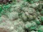 Natural Botryoidal Malachite Cutting Material x 2 From Congo