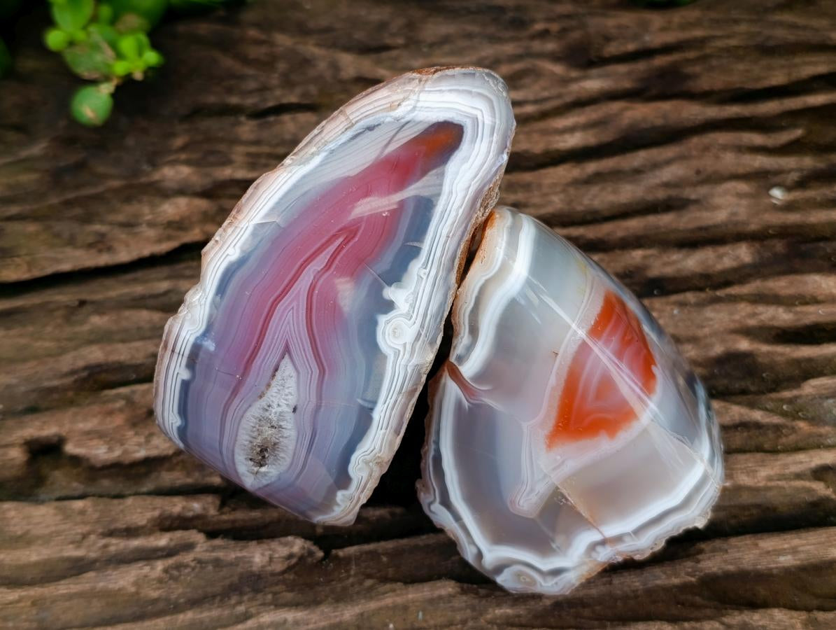 Polished One Side Red Shashe River Agate Nodules x 4 From Shashe River, Zimbabwe