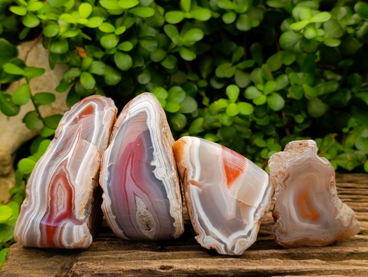 Polished One Side Red Shashe River Agate Nodules x 4 From Shashe River, Zimbabwe