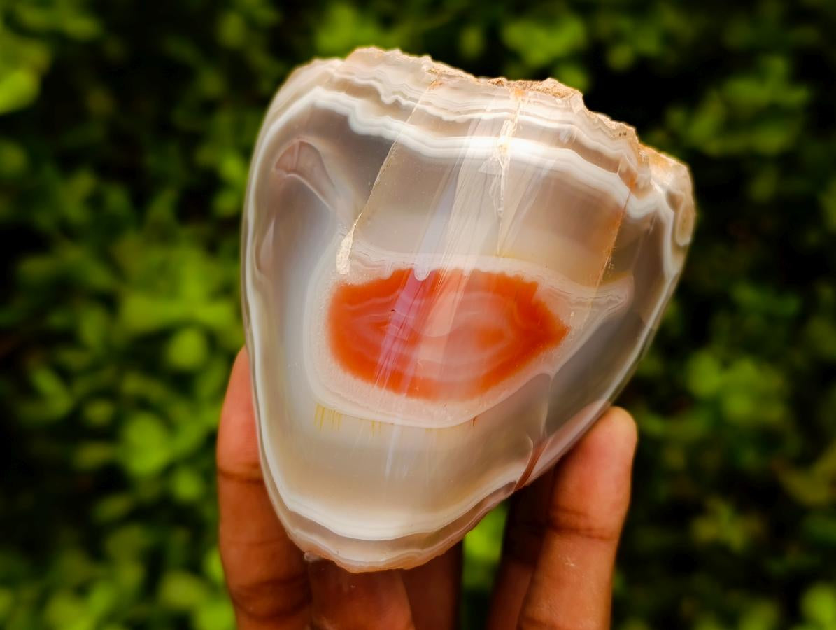 Polished One Side Red Shashe River Agate Nodules x 4 From Shashe River, Zimbabwe
