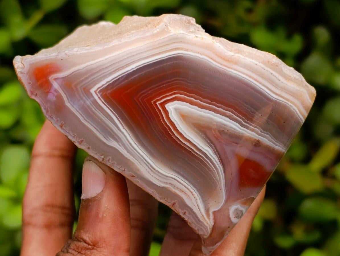 Polished One Side Red Shashe River Agate Nodules x 4 From Shashe River, Zimbabwe