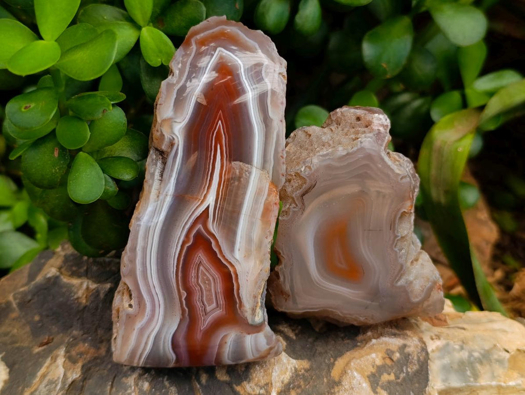 Polished One Side Red Shashe River Agate Nodules x 4 From Shashe River, Zimbabwe