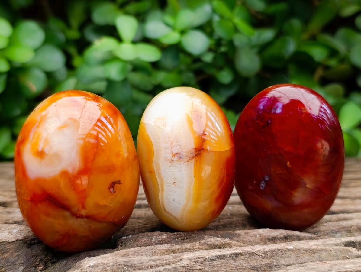 Polished Carnelian Agate Gemstone Galets x 12 From Madagascar
