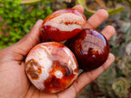 Polished Carnelian Agate Gemstone Galets x 12 From Madagascar