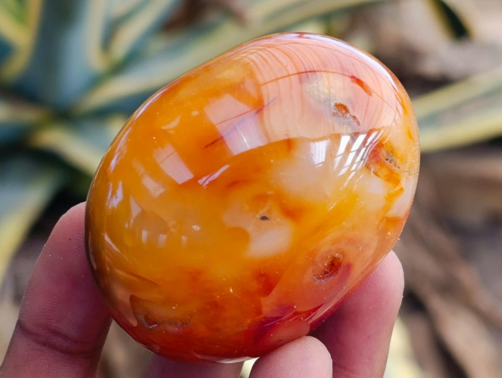 Polished Carnelian Agate Gemstone Galets x 12 From Madagascar