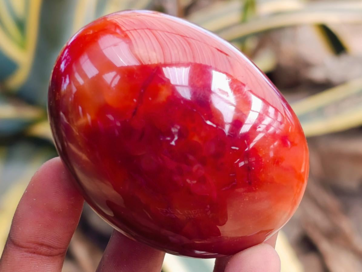 Polished Carnelian Agate Gemstone Galets x 12 From Madagascar