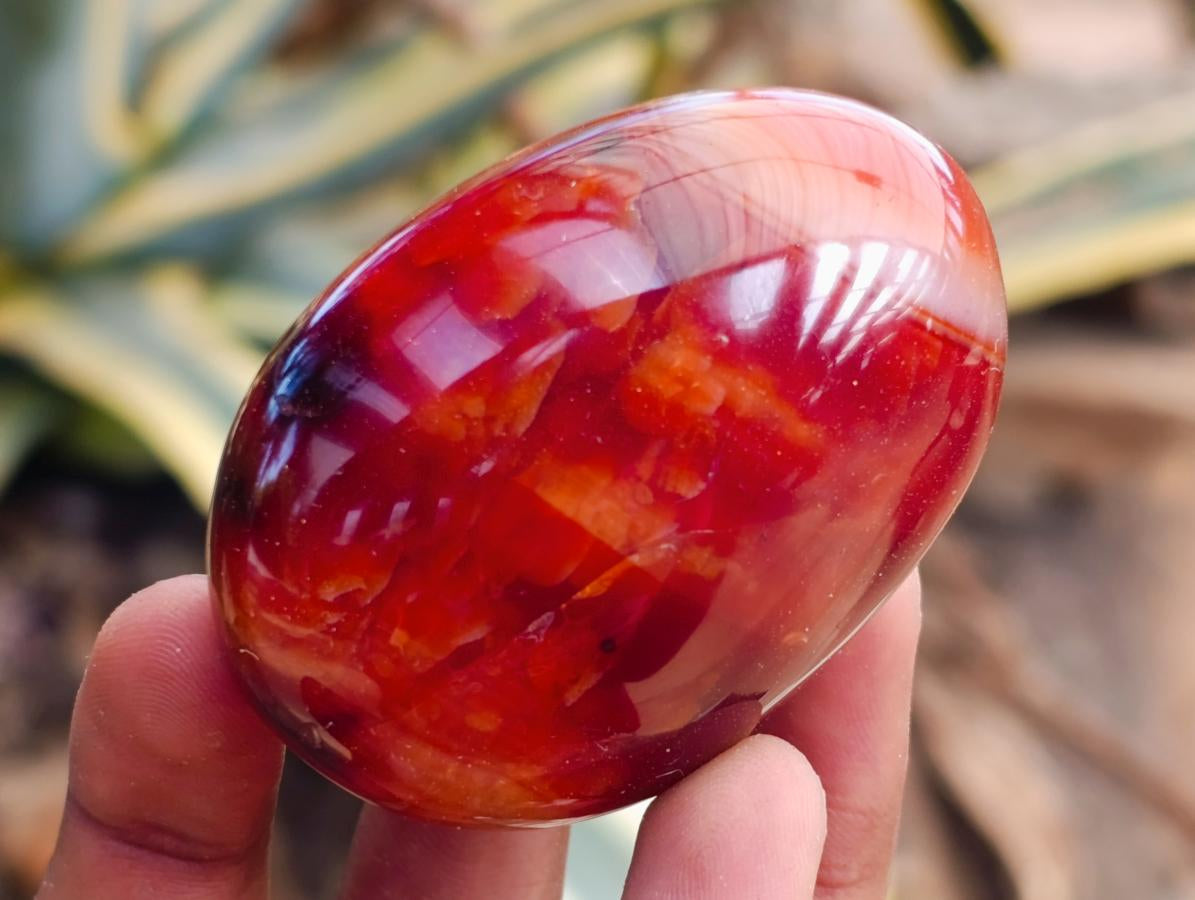 Polished Carnelian Agate Gemstone Galets x 12 From Madagascar
